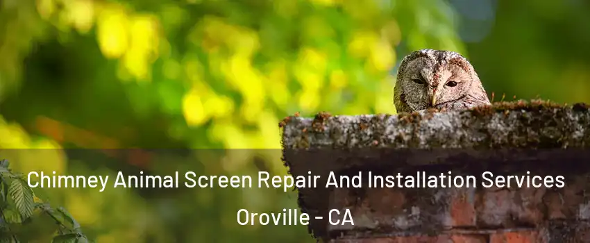  Chimney Animal Screen Repair And Installation Services Oroville - CA