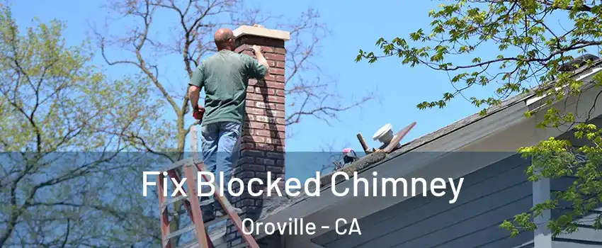  Fix Blocked Chimney Oroville - CA